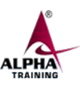 SEO Company